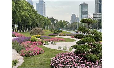 來現場打卡，感受“美麗無錫”的美好